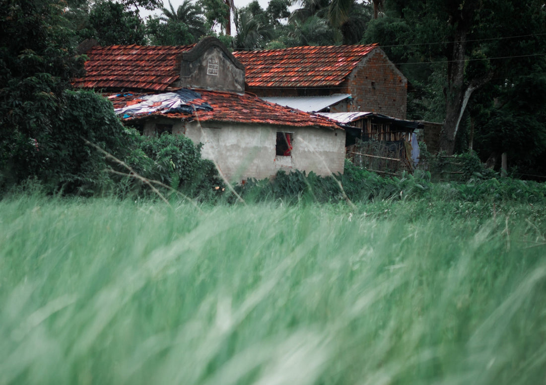 Abandoned houses